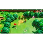 بازی The Legend of Zelda Links Awakening برای Nintendo Switch